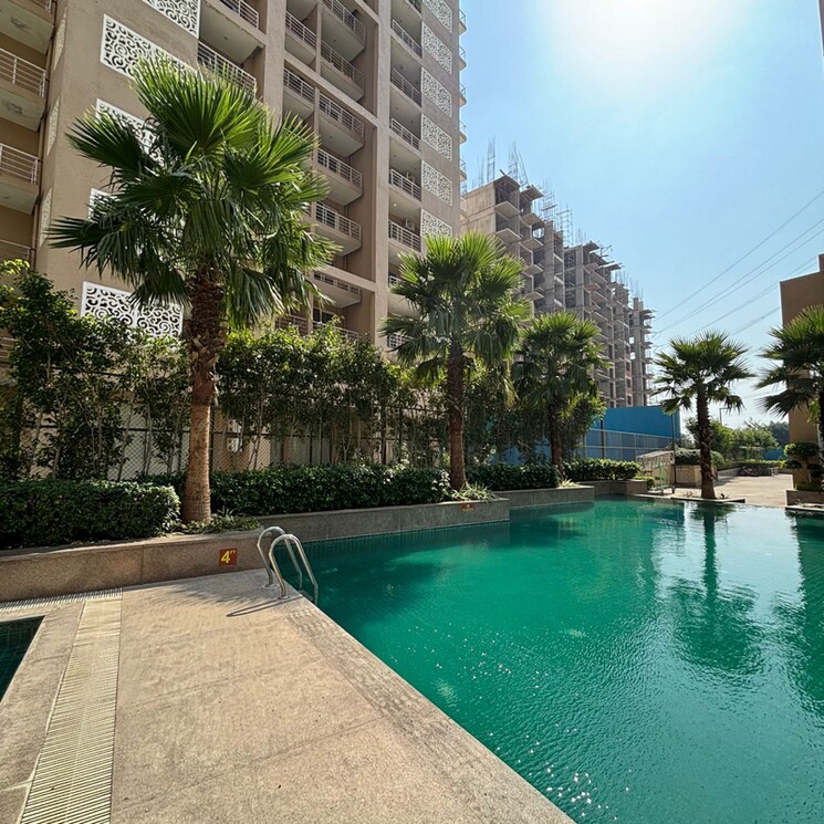 Swimming Pool, aipl-zen-residences 2 Bedroom 1262 Sq.Ft. Apartment In Sector 70a Gurgaon 7133689