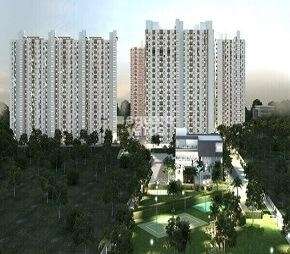 2 BHK Apartment For Rent in VBHC Palm Haven Kengeri Bangalore  7138458