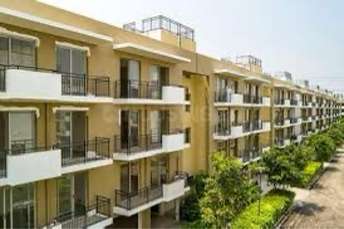 3.5 BHK Builder Floor For Rent in Vatika Xpressions Sector 88b Gurgaon 7139903