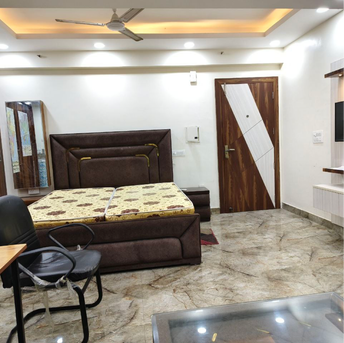 1 RK Apartment For Rent in DLF Capital Greens Phase I And II Karam Pura Delhi  7140157