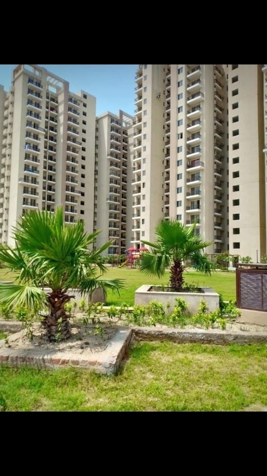 2 BHK Apartment For Resale in MGH Mulberry County Sector 70 Faridabad  7140753