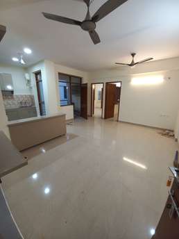 2 BHK Apartment For Rent in Ninex RMG Residency Sector 37c Gurgaon  7140843