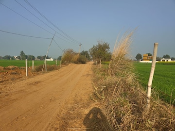 Plot Area in  Plot at Omega Ii Greater Noida – for Sale