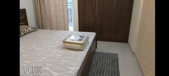 2 BHK Apartment For Rent in Wave City Ghaziabad  7141537