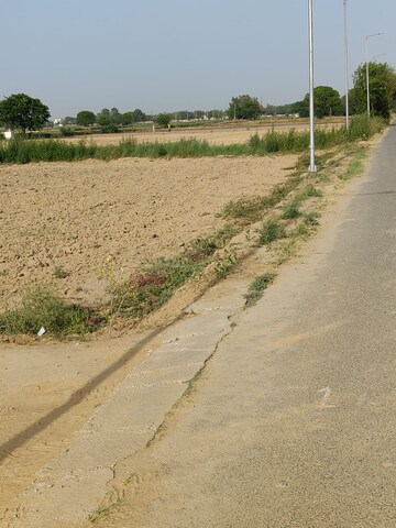 Plot Area in  Plot at Najafgarh – for Sale