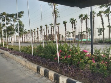  Plot For Sale in Sector 36