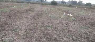 Plot Area in  Plot at Katol rd – for Sale