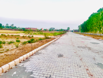 Plot For Sale in Lalru