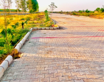 Plot For Resale in Lalru Mohali  7142107