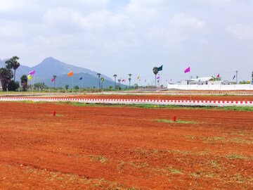 Plot Area in  Plot at Puduchatram – for Sale