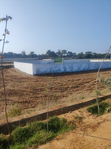 Plot For Sale in Yamuna Expressway