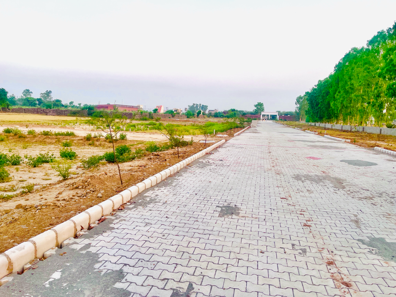 Plot For Resale in Lalru Mohali  7143109