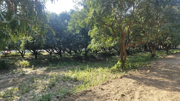 Plot Area in  Plot at Mohan Road – for Sale