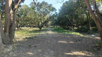 Plot Area in  Plot at Mohan Road – for Sale