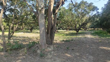 Plot Area in  Plot at Mohan Road – for Sale
