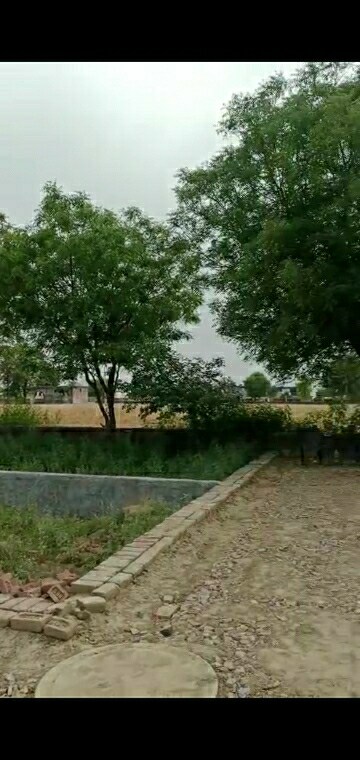 Plot Area in  Plot at Sai Vatika, Sector 45 – for Sale