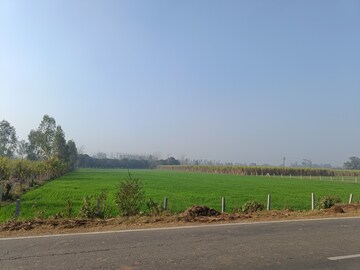 Plot Area in  Land at Behsuma – for Sale