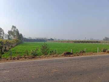 Plot Area in  Land at Behsuma – for Sale