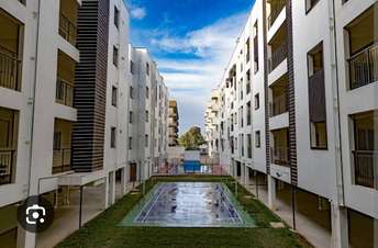 2 BHK Apartment For Rent in Asset Elvira Sarjapur Road Bangalore 7147129