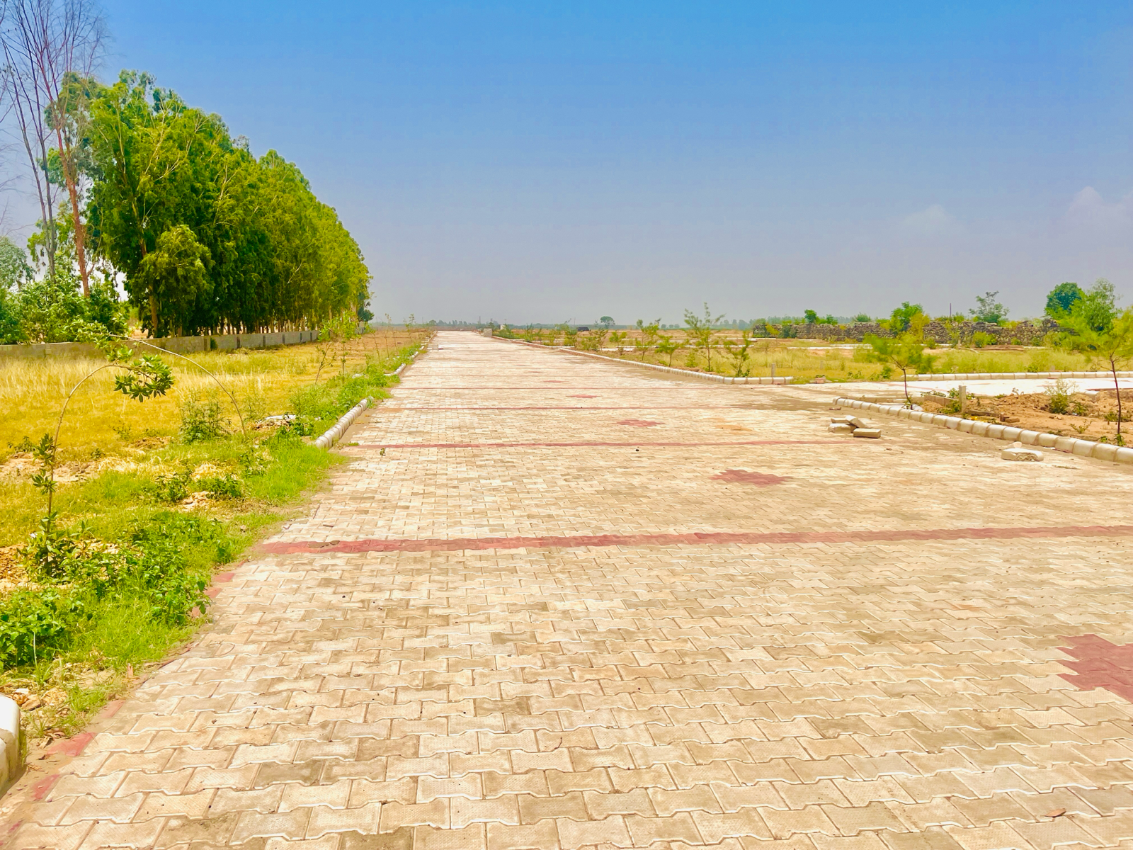 Plot For Resale in Lalru Mohali  7147587