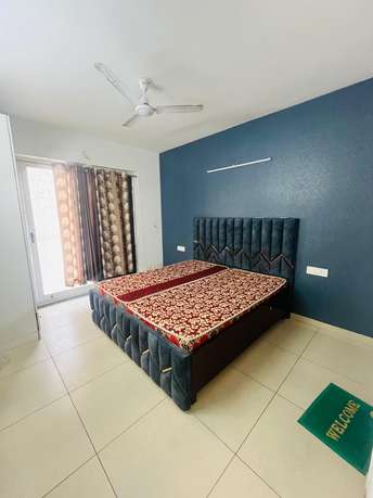 3 BHK Apartment For Rent in Sushma Valencia International Airport Road Zirakpur 7148097