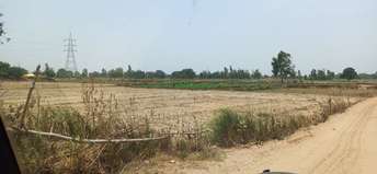 Plot For Resale in Kursi Road Lucknow  7148619