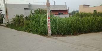 Plot For Resale in Selakui Dehradun  5846880