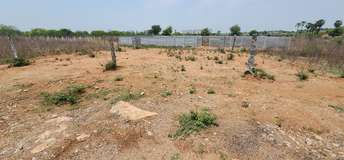 Plot For Resale in Pasumamula Hyderabad  7149258