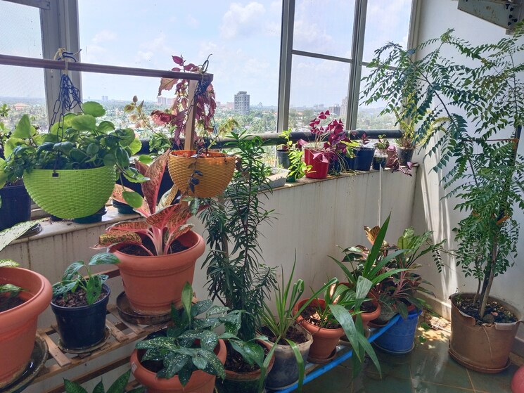 Balcony, elamakkara 3 Bedroom 2650 Sq.Ft. Apartment In Elamakkara Kochi 7149298