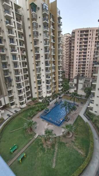 2 BHK Apartment For Rent in Aditya Urban Casa Sector 78 Noida  7149539