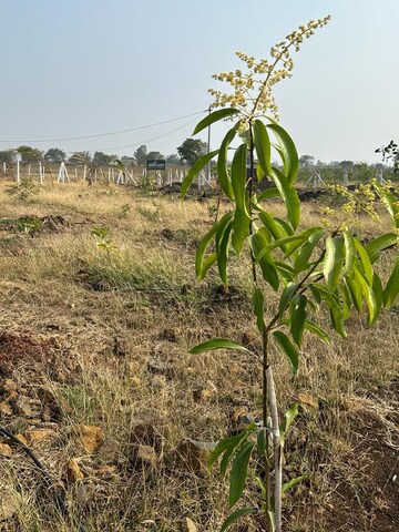  Plot For Sale in Keesara