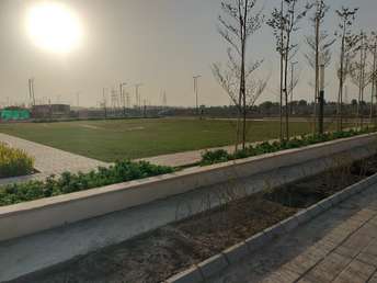 Plot For Resale in Sector 36 Panipat  7149879