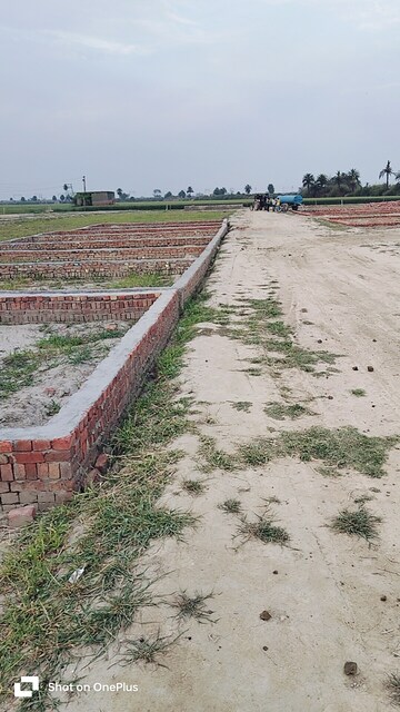 Plot Area in  Plot at Sector 87 – for Sale