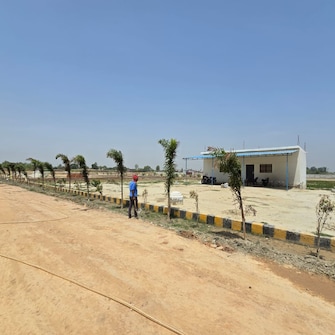 Plot For Resale in Nagram Road Lucknow  7150167