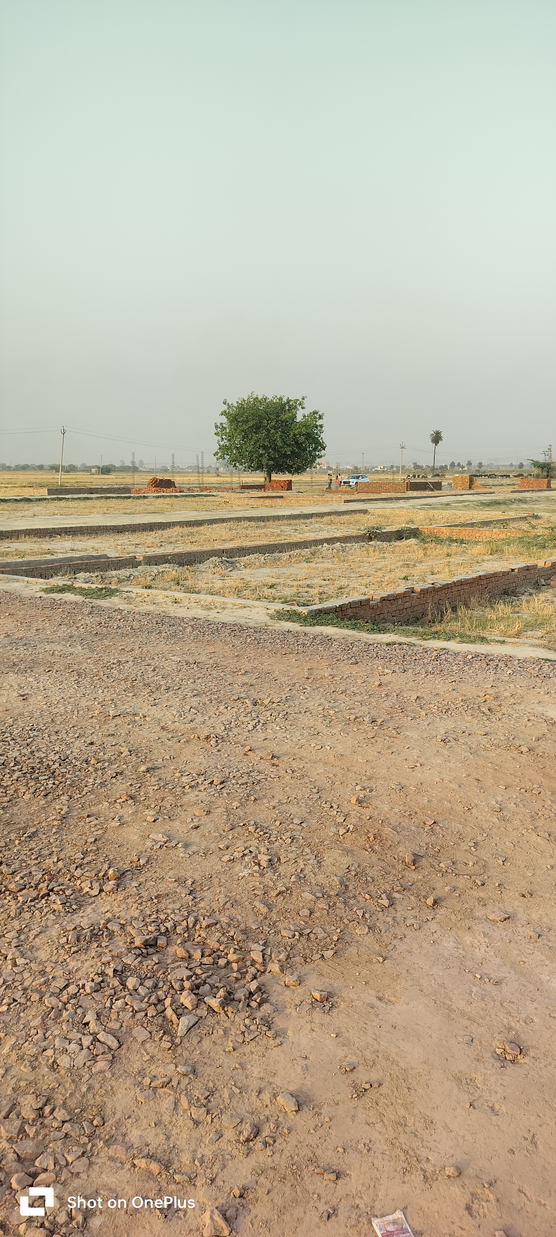 Plot For Resale in Sector 87 Faridabad  7150189