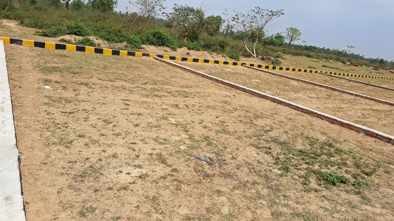 Plot For Resale in Sultanpur Road Lucknow  7152078