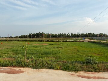 Plot Area in  Plot at Thanjore Road – for Sale