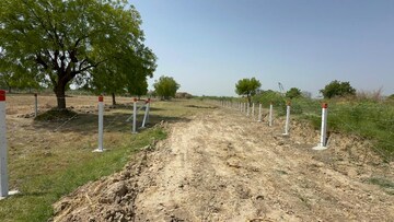  Plot For Sale in Kadi