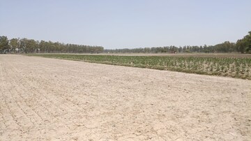 Plot Area in  Plot at Kamla Nagar – for Sale