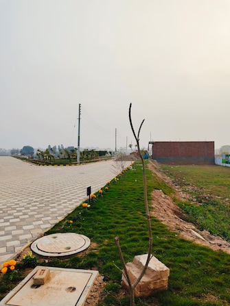 Plot For Resale in Aerocity Mohali  7158167