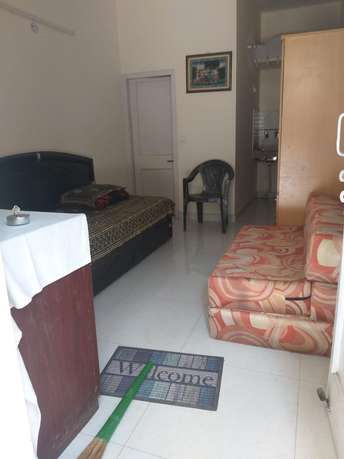 1 RK Apartment For Rent in RWA Apartments Sector 29 Sector 29 Noida  7159039