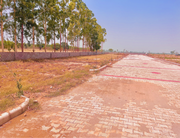  Plot For Sale in Lalru