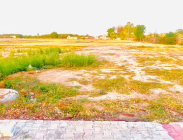  Plot For Sale in Lalru
