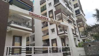 2 BHK Apartment For Resale in Tricolour Palm Cove Uppal Hyderabad  7159066