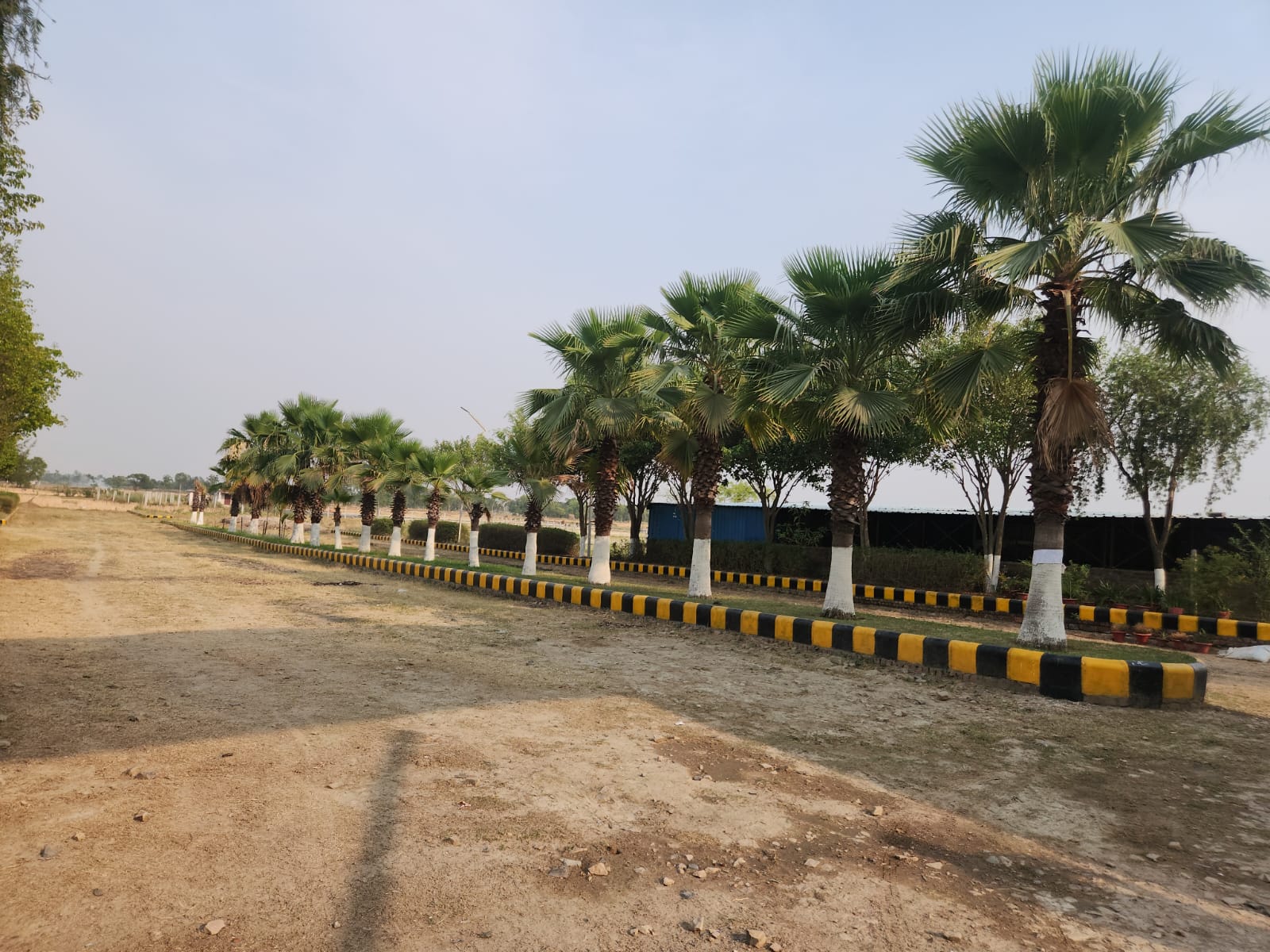 Plot For Resale in Faizabad Road Lucknow  7159170