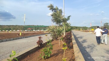  Plot For Sale in Budhera