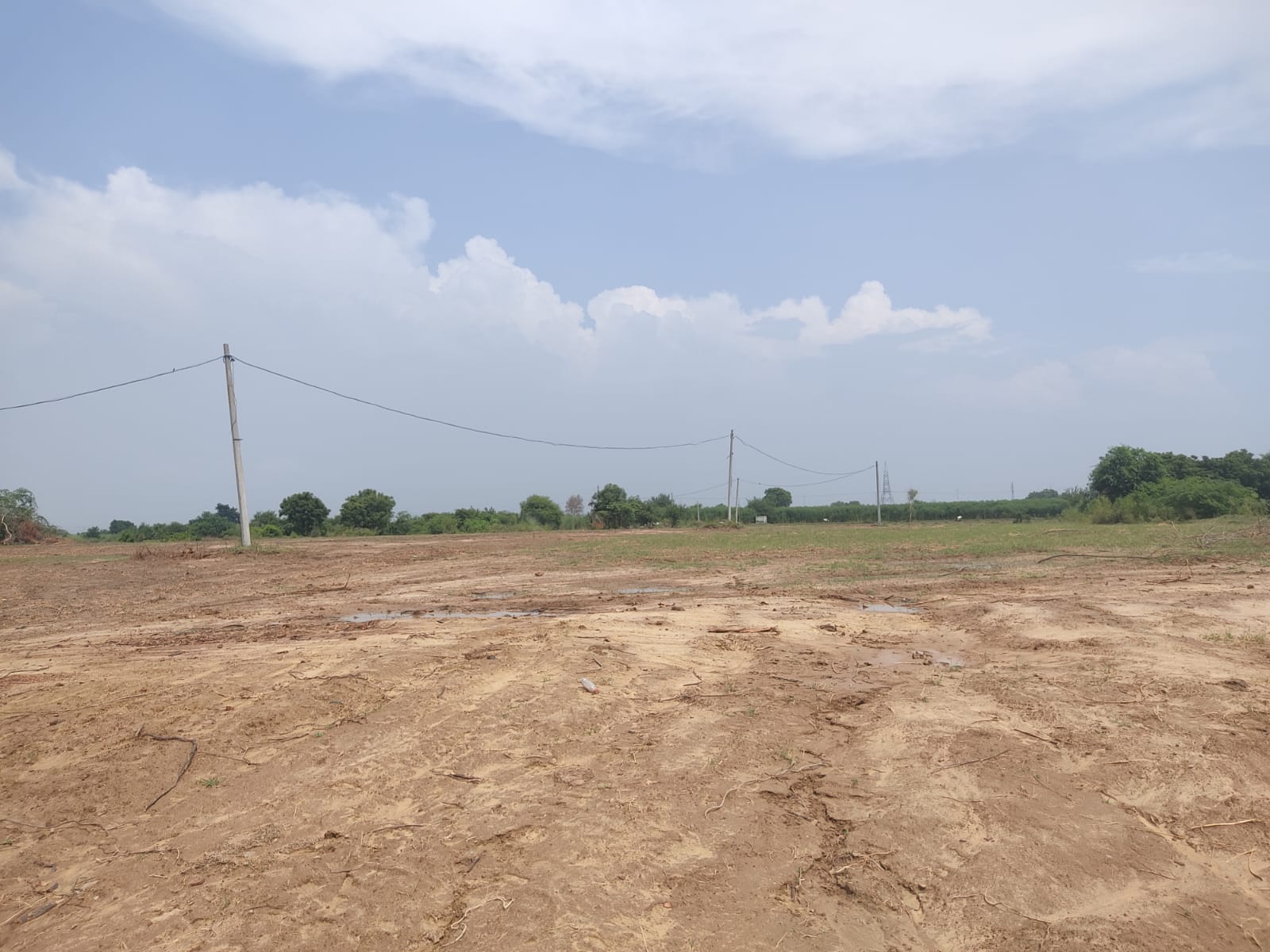 Plot For Resale in Dwarka Delhi  7160125