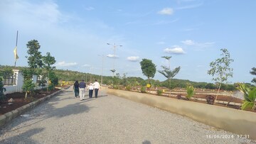 Plot Area in  Plot at Budhera – for Sale