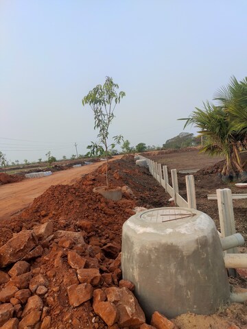 Plot Area in  Plot at Kankipadu – for Sale