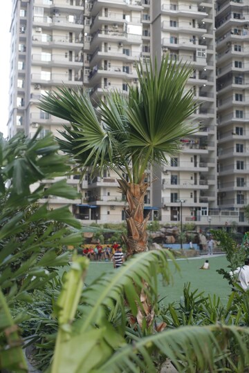 2 BHK Apartment – Exterior View View at Javin Raj Empire, Raj Nagar Extension - for Sale